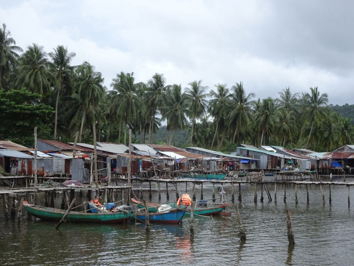 Walk through the primeval forest to find Rach Vem fishing village in Phu Quoc 0
