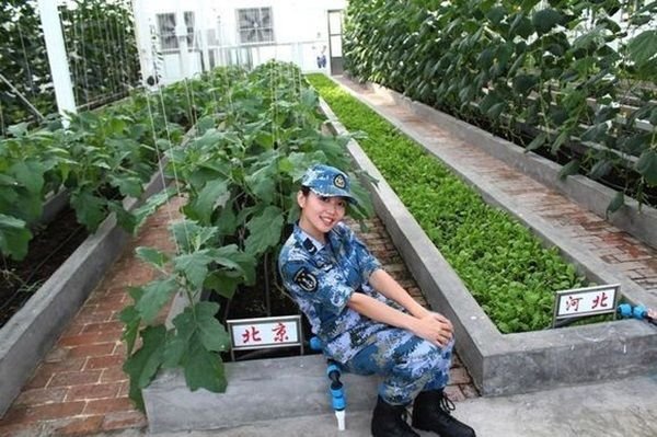 China released photos of growing vegetables and raising cattle on Fiery Cross Rock 0
