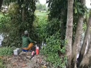 The video of a female expert continuously catching catfish on the Saigon River has been seen for many weeks 2